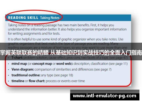 掌握英联联赛的精髓 从基础知识到实战技巧的全面入门指南